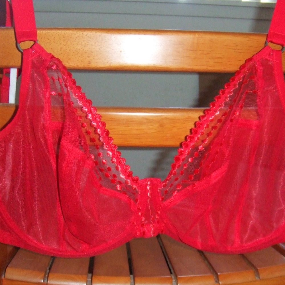 Elomi MATILDA Red Mesh Bra & Goddess KAYLA Panty - Picture 6 of 11